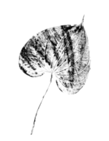 Freianlagenplanung Sandra Viehrig — Logo